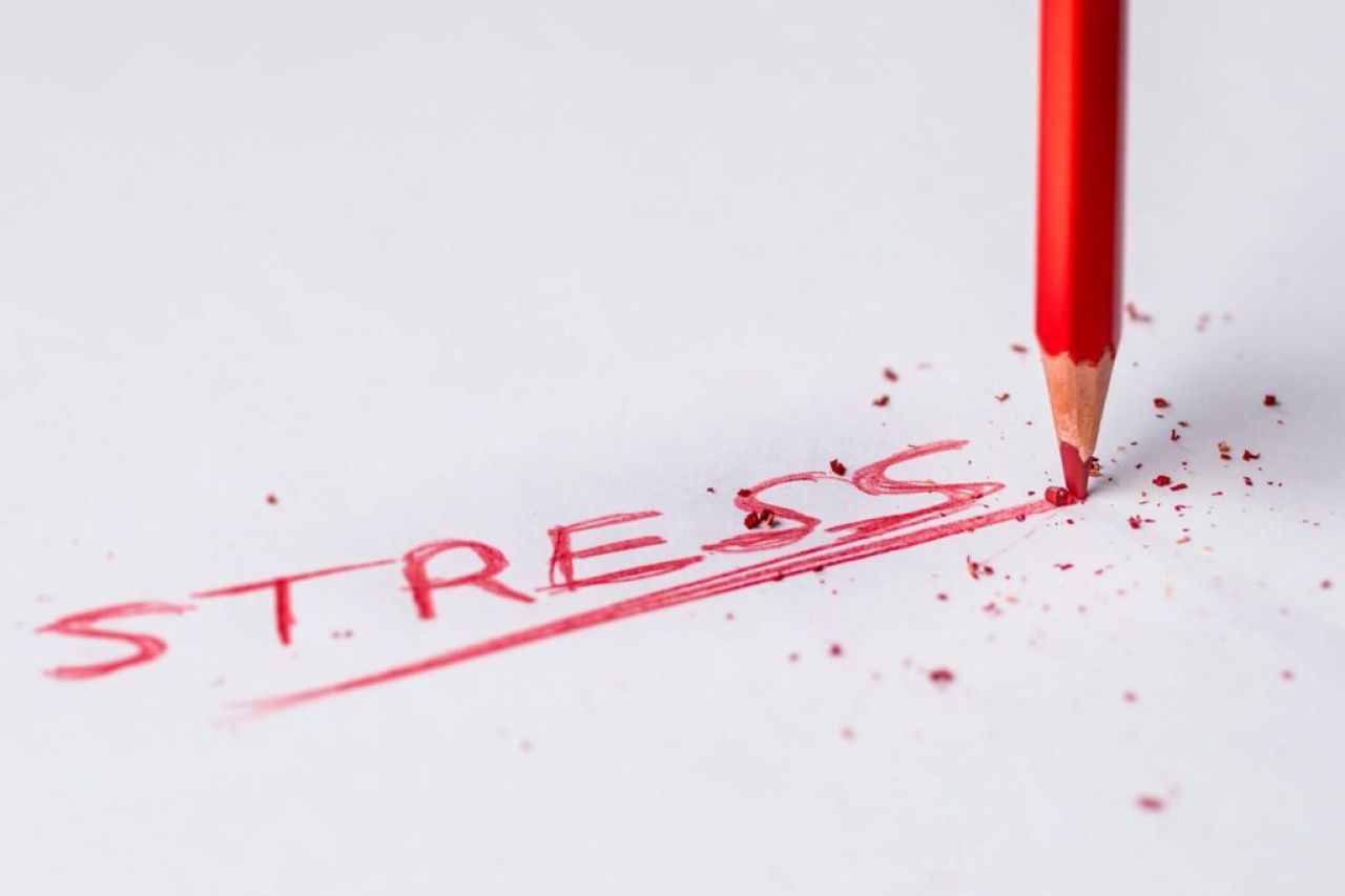 Evitar lo Estress: ¿Estrategia incorrecta… o necesaria?